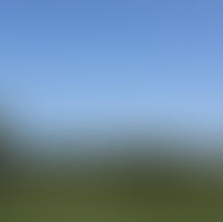 Landscape photo of a lush golf course and blue skies.