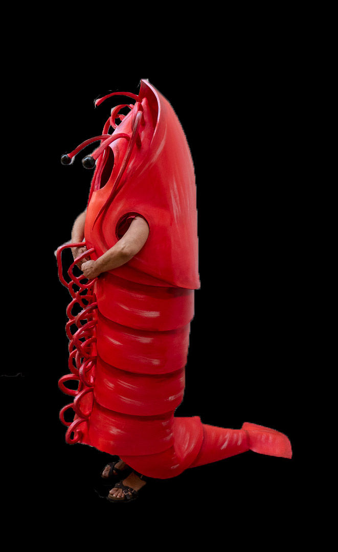 Prawn