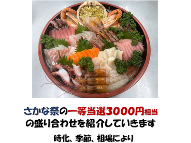 おさしみくじ写真館