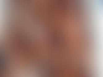 本日入荷のおすすめ品