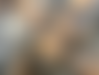 本日入荷のおすすめ品