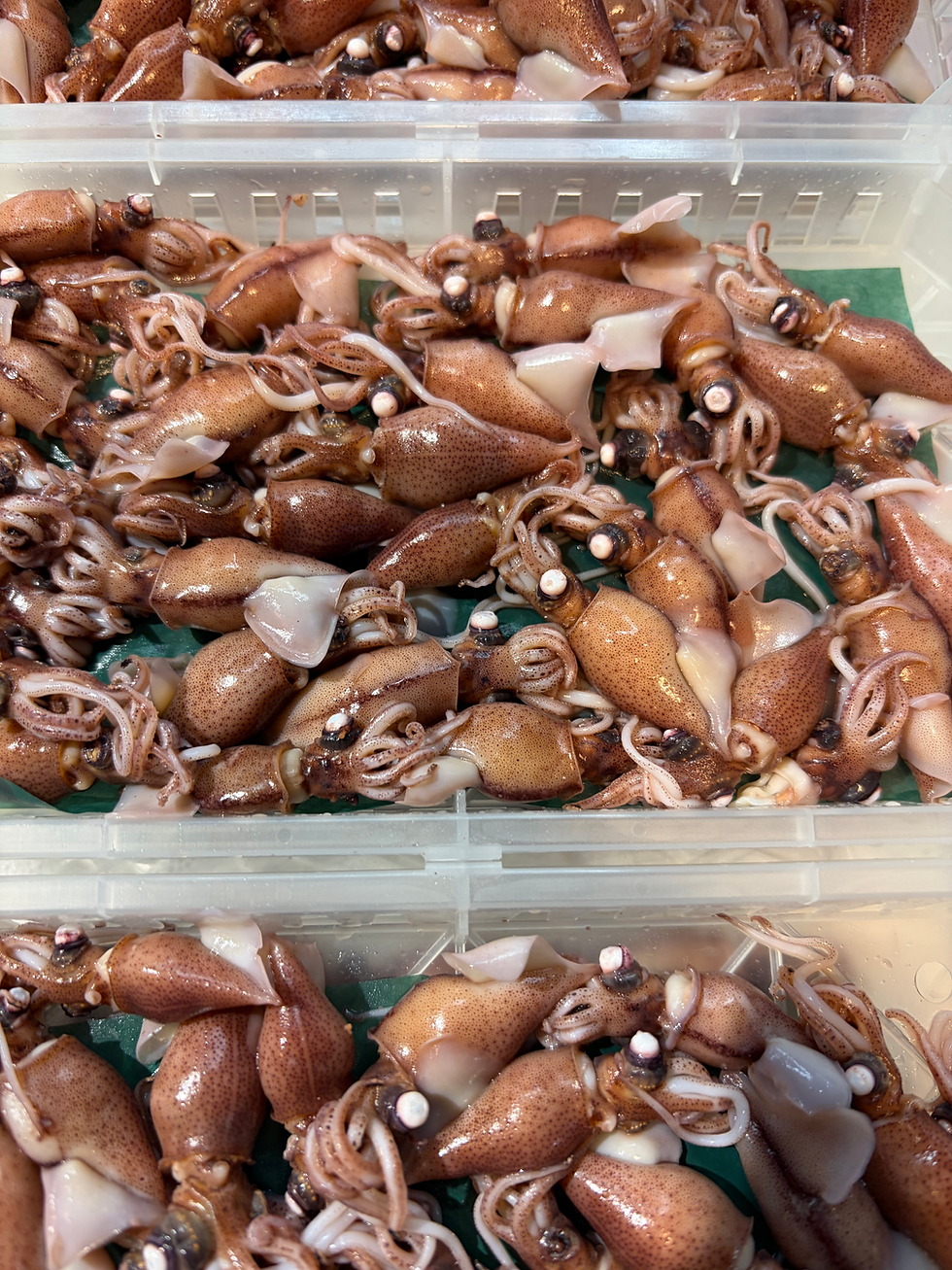 本日入荷のおすすめ品