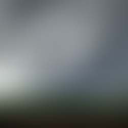 Excesso de chuvas nas lavouras