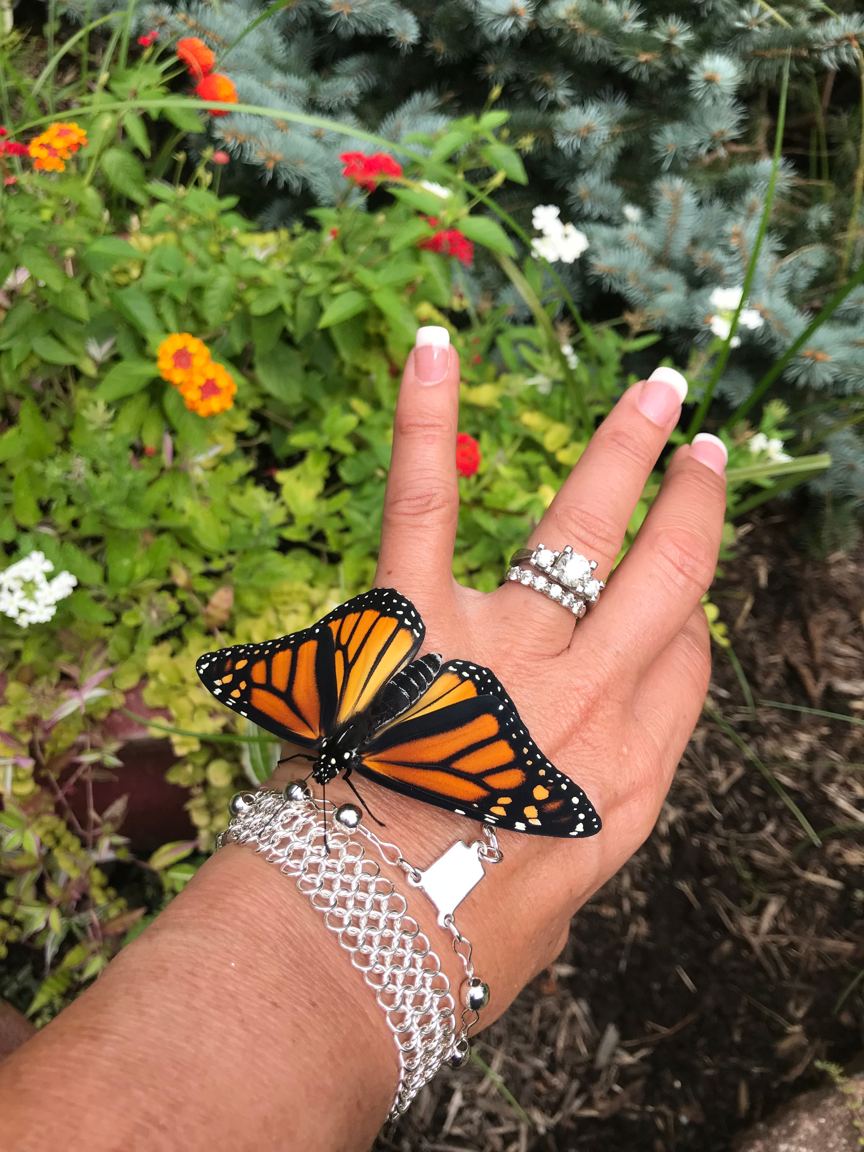 European 4:1 Bracelet-Sterling Silver