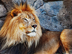 Monthly Market Insight | Passive Aggressive