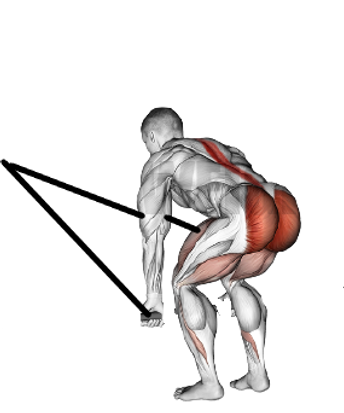 tiage crawl.png