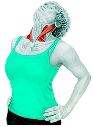 STRECH_9-removebg-preview.png