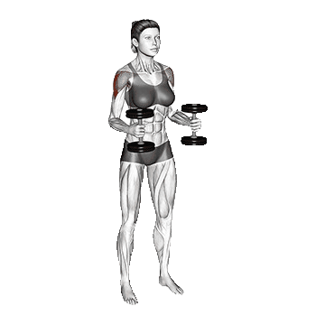 Dumbbell-Bent-Arm-Laterl-Raise-unscreen.gif