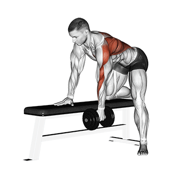latissimus_uebungen-einarmiges_rudern.gif