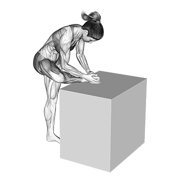 hip-external-rotator-stretch.gif