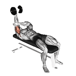 EPAULES.PNG