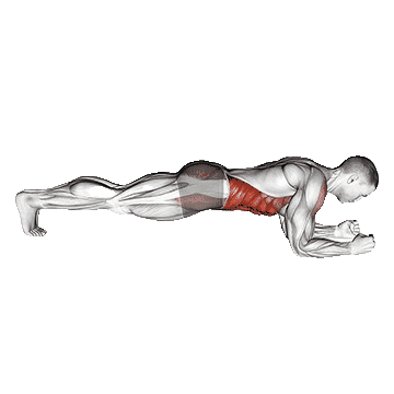 plank-unscreen.gif