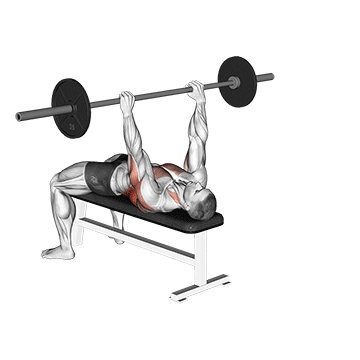 Barbell-Bent-Arm-Pullover.gif