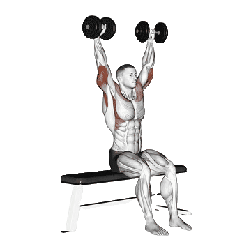 Dumbbell-Seated-Front-and-Back-unscreen.gif
