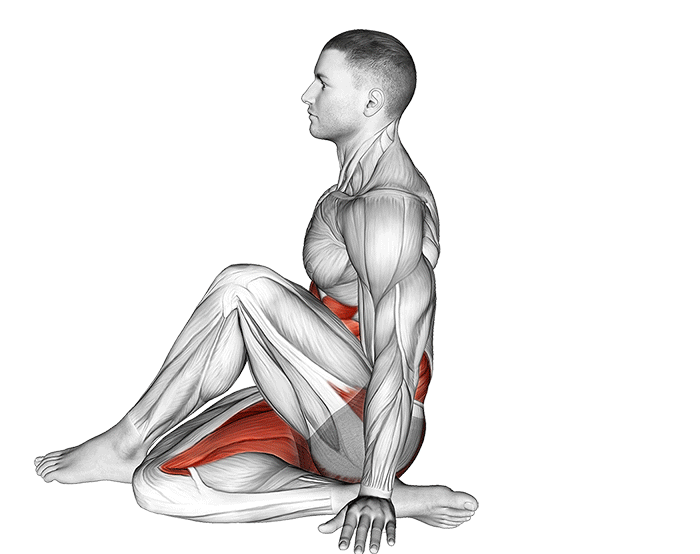 ardha-matsyendrasana-posture-de-la-demi-torsion-assise.gif