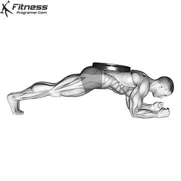Weighted-Front-Plank.gif