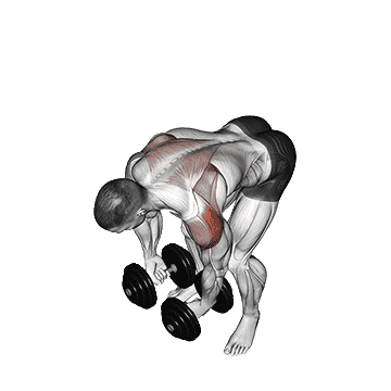 Bent-Over-Lateral-Raise-unscreen.gif