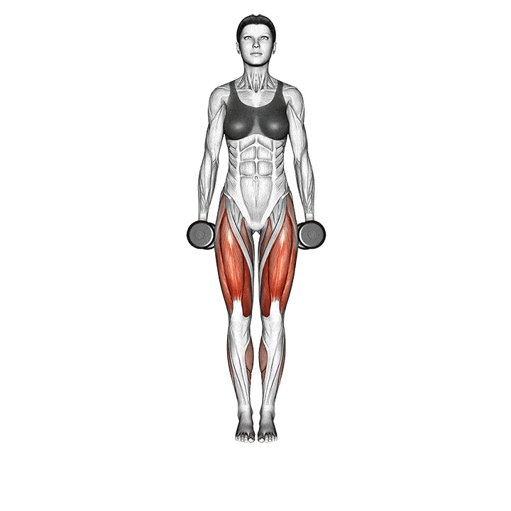 anim-dumbbell-curtsy-lunges.gif