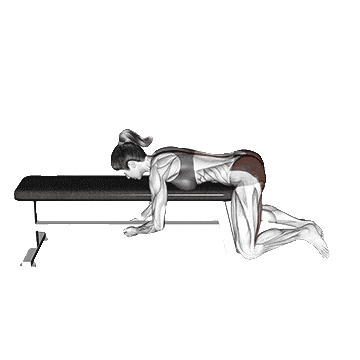 Kneeling-Back-Rotation-Stretch-unscreen.gif