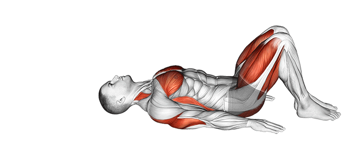 setu-bandhasana-posture-du-pont.gif