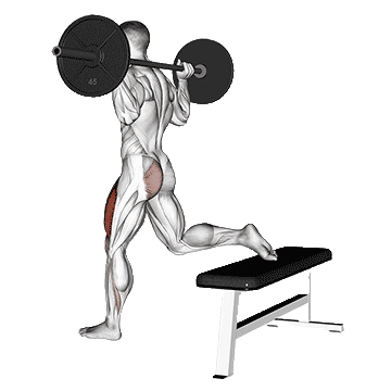 Barbell-Bulgarian-Split-Squat-unscreen.gif