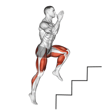 PPG CROSS FIT
10 KM
LEVEL ++