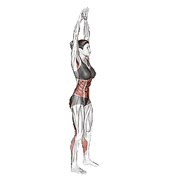 Neck-Extension-Stretching.png