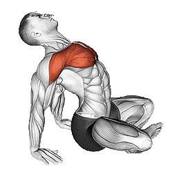 Neck-Extension-Stretching.png