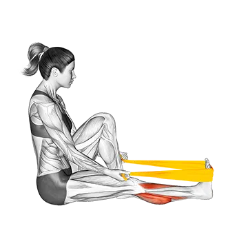 resistance-band-seated-calf-stretch.webp