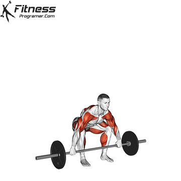 Barbell-Power-Snatch.gif