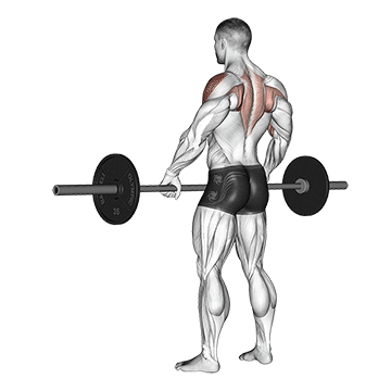 barbell-uprightrow.gif