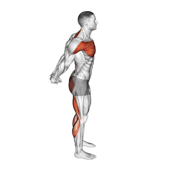 dandayamana-mudrasana-posture-du-sceau-du-yoga-debout.gif