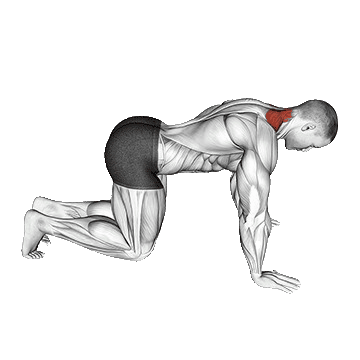 Neck-Extension-Stretching.png