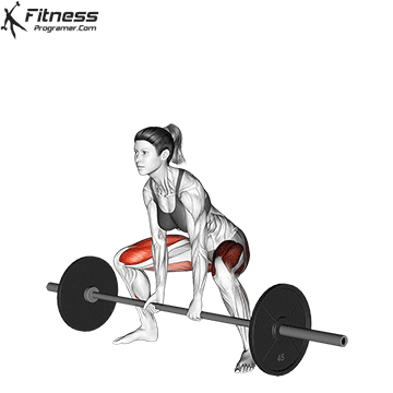 Barbell-Sumo-Deadlift.gif
