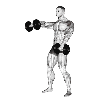 Alternating-Dumbbell-Front-Rai-unscreen.gif