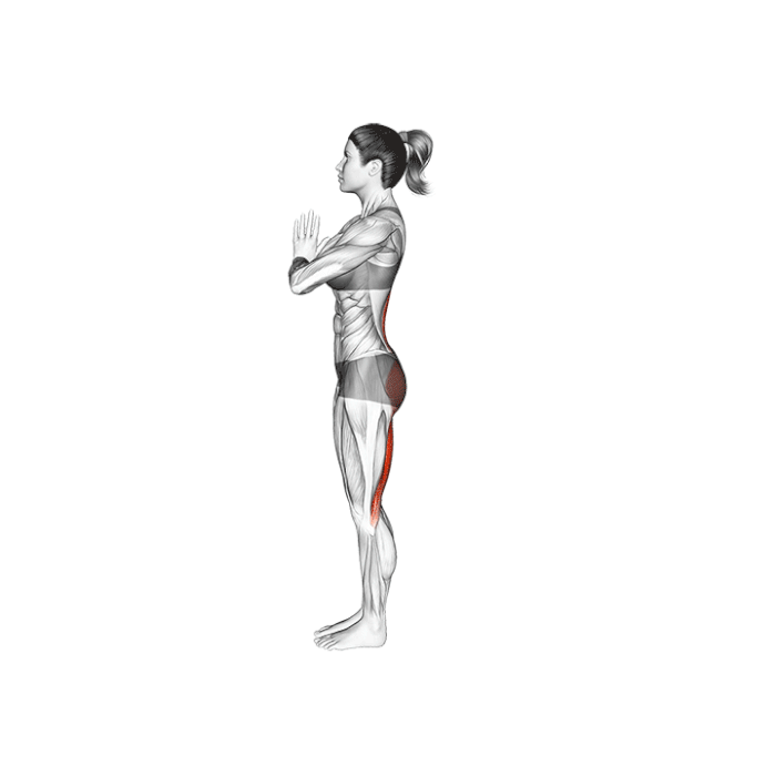 virabhadrasana-iii-posture-du-guerrier-3.gif