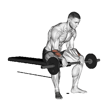 Barbell-Reverse-Wrist-Curl-unscreen.gif