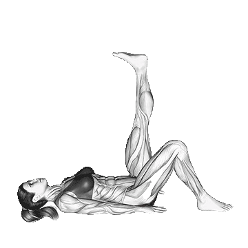 Single-Leg-Bridge-unscreen.gif