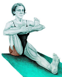 STRECH 28.PNG