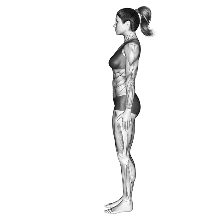 uttanasana-posture-cigogne.gif
