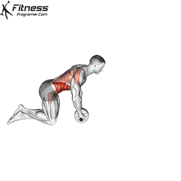 Ab-Wheel-Rollout.gif