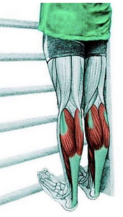 STRECH 20.PNG