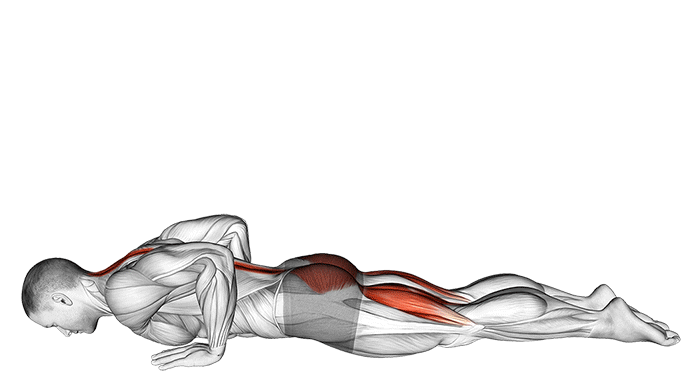 bhujangasana-posture-du-cobra.gif