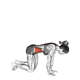 Neck-Extension-Stretching.png