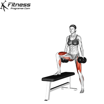 Dumbbell-Lateral-Step-Up.gif