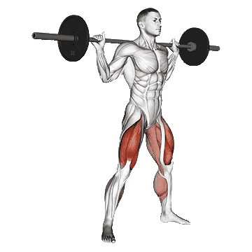 Barbell-sumo-squat-unscreen.gif