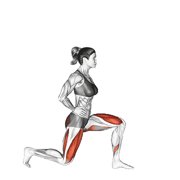 Reverse-Lunge-Knee-unscreen.gif
