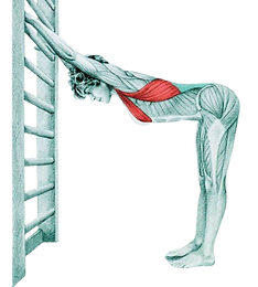 STRECH_37-removebg-preview.png