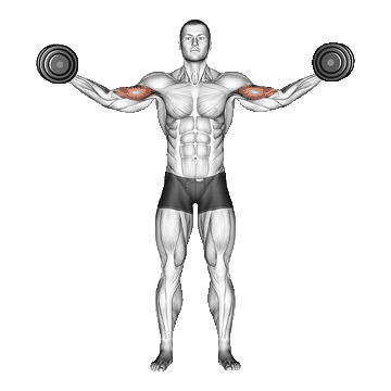 Dumbbell-High-Curl-unscreen.gif