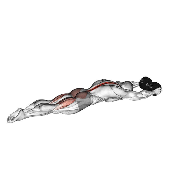anim-dumbbell-supermans.gif
